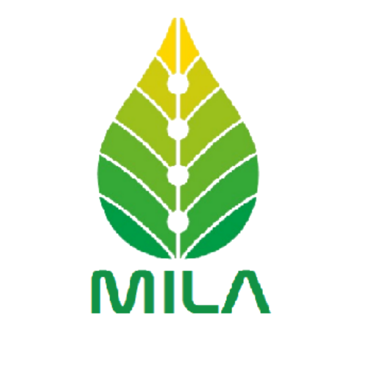 Logo MILA